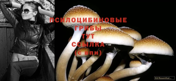 jwh Верея