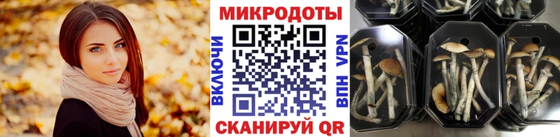 Галлюциногенные грибы мухоморы  Тбилисская 